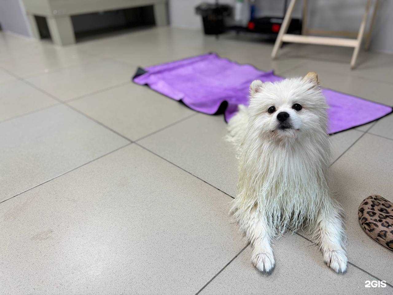 Отзывы на компанию Bark Side в Челябинске c фото