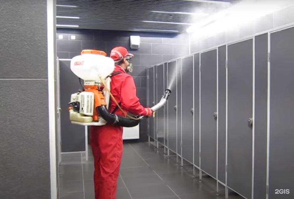 Отзывы на компанию Дезмастер в Красноярске c фото