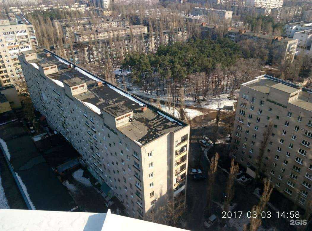 Отзывы на компанию Цветочный тренд в г. Воронеж c фото