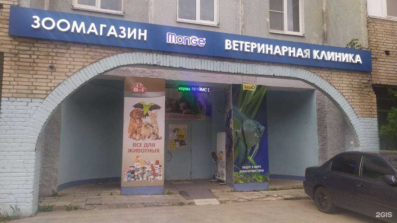 Отзывы на компанию Зоо идеал в г. Химки c фото