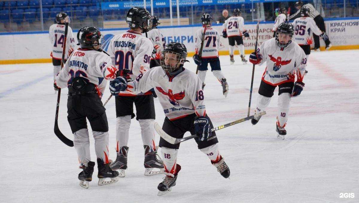 Отзывы на компанию Сокол в Красноярске c фото