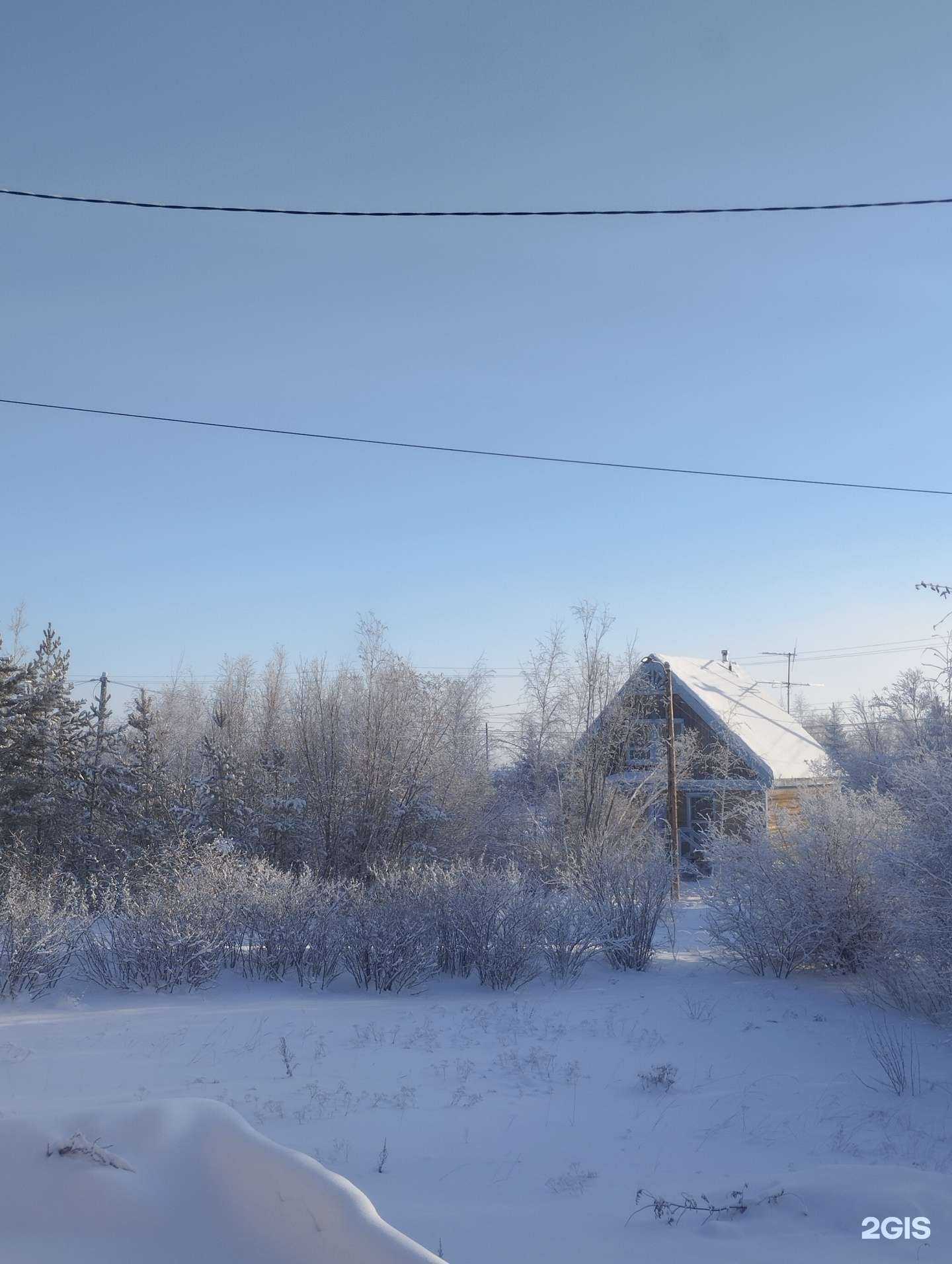 Отзывы на компанию Высшая школа музыки (институт) Республики Саха (Якутия) им. В.А. Босикова в Якутске c фото