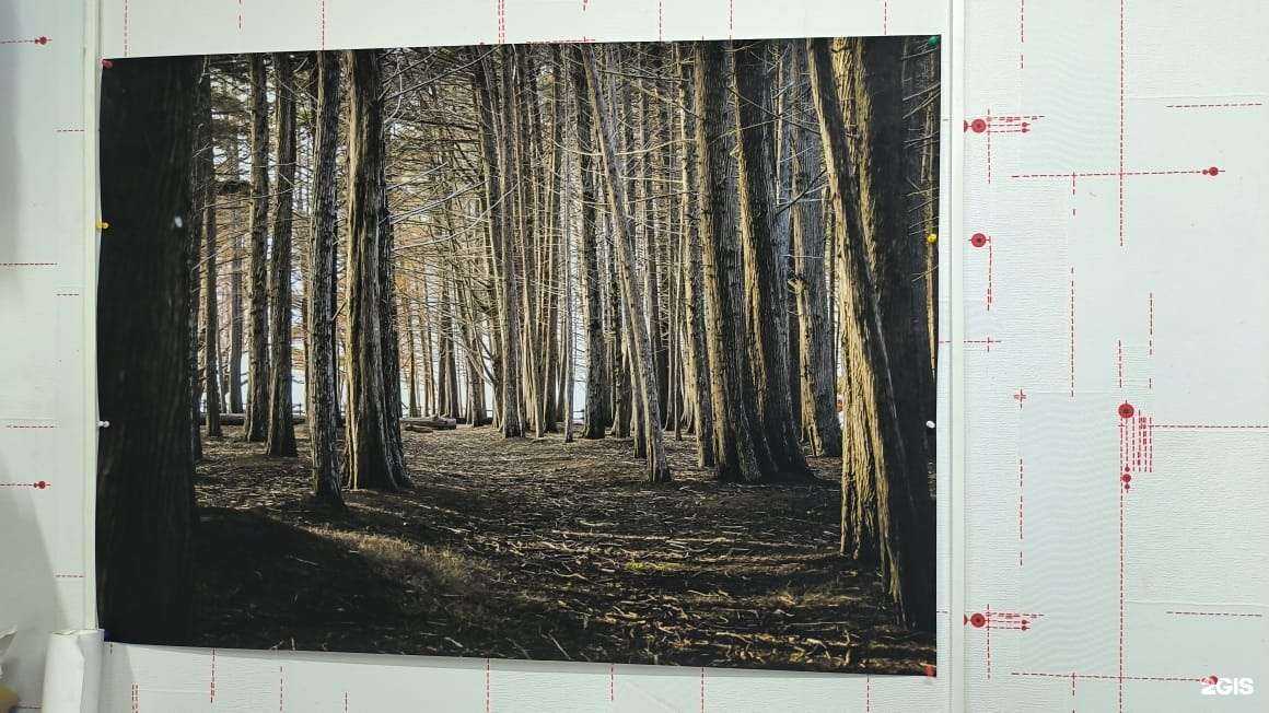 Отзывы на компанию Cca. Print в г. Нижний Новгород c фото