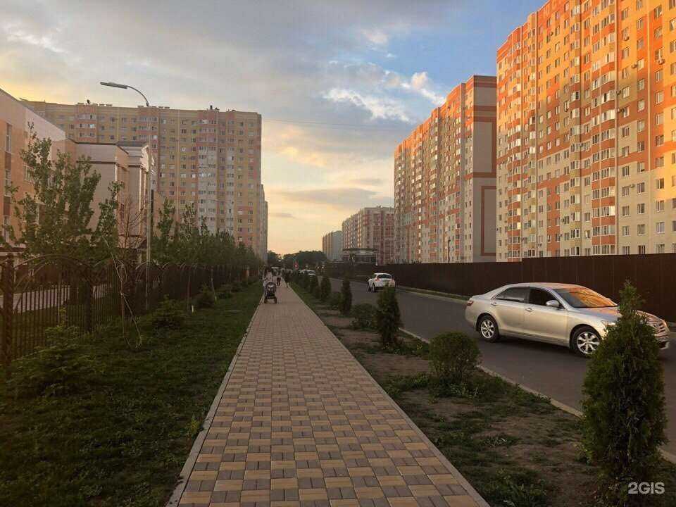 Отзывы на компанию Chinchila в Ставрополе c фото - фотография 2 из 2