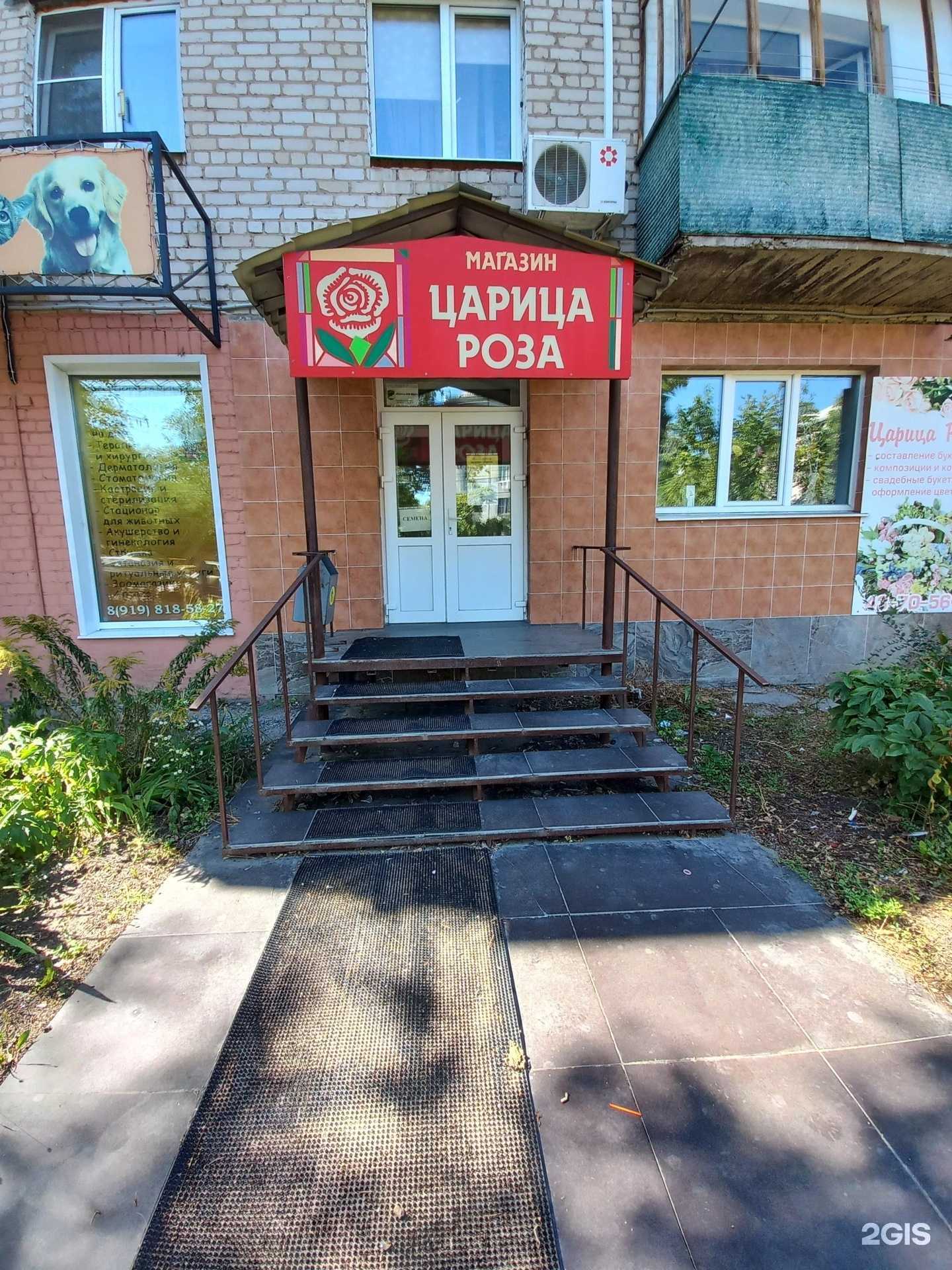 Отзывы на компанию Царица роза в Тольятти c фото