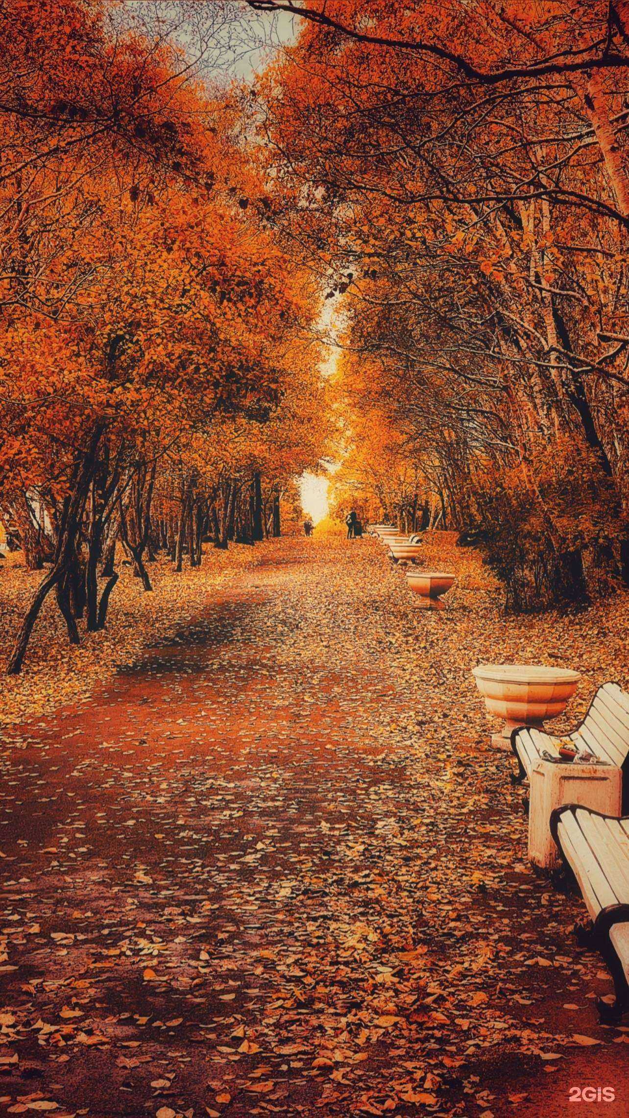 Отзывы на компанию Комптехсервис в г. Петропавловск-Камчатский c фото