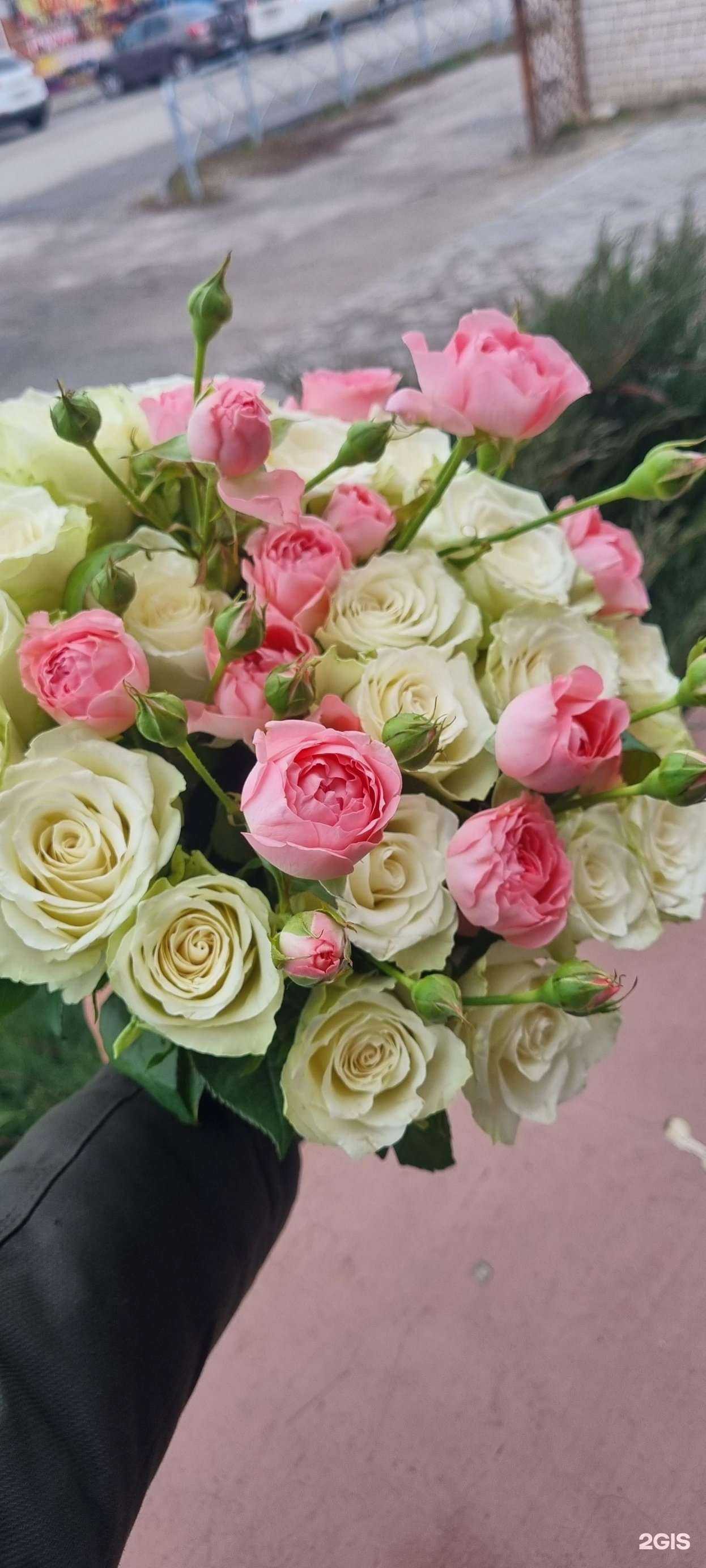 Отзывы на компанию Аленький цветочек в Новоаннинском c фото