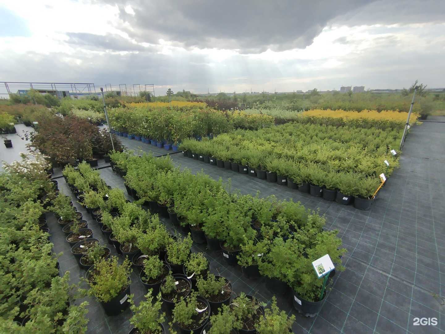 Отзывы на компанию Березка в г. Набережные Челны c фото