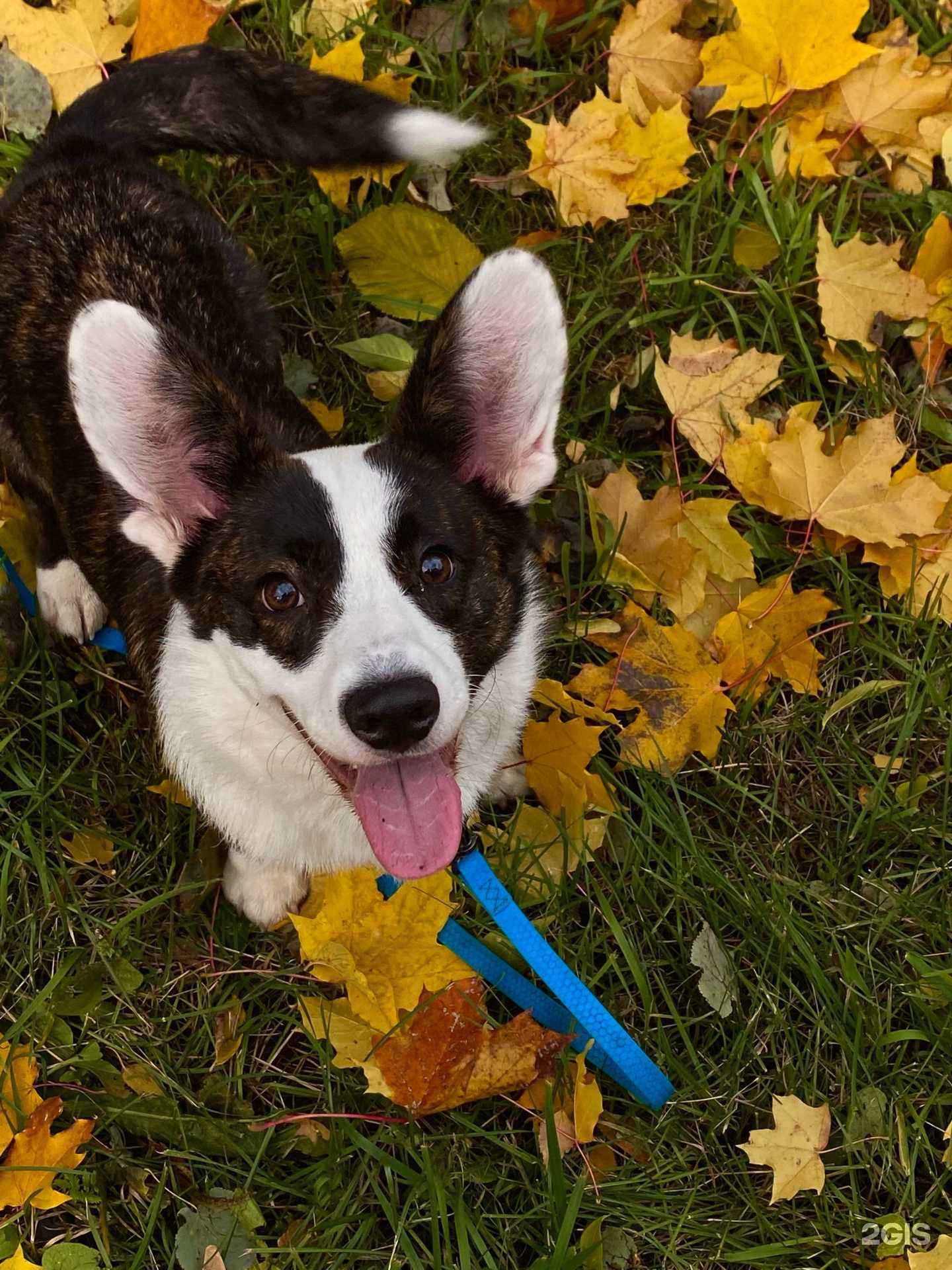Отзывы на компанию Вайт в Петрозаводске c фото