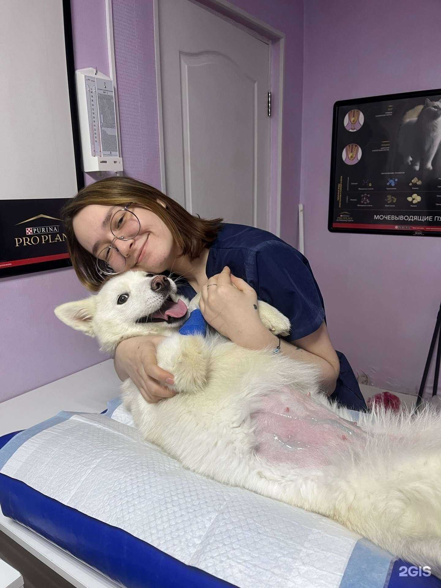 Отзывы на компанию Аляска в Перми c фото