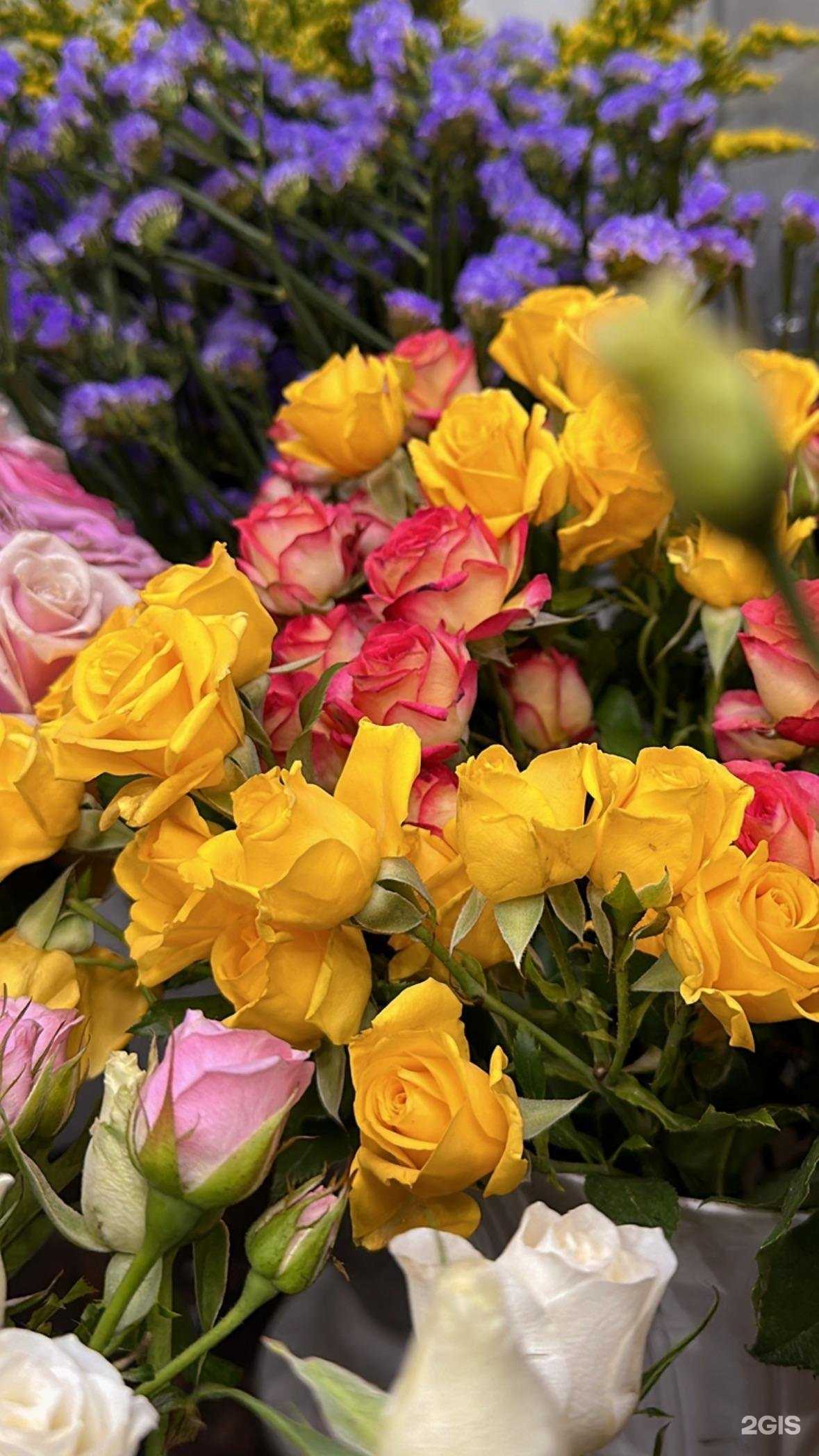 Отзывы на компанию Дом цветов в г. Новокузнецк c фото