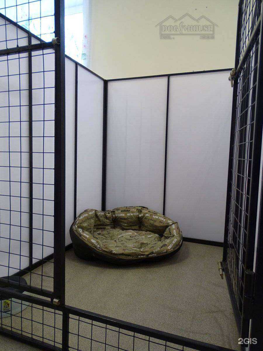 Отзывы на компанию Dog House в г. Новокузнецк c фото