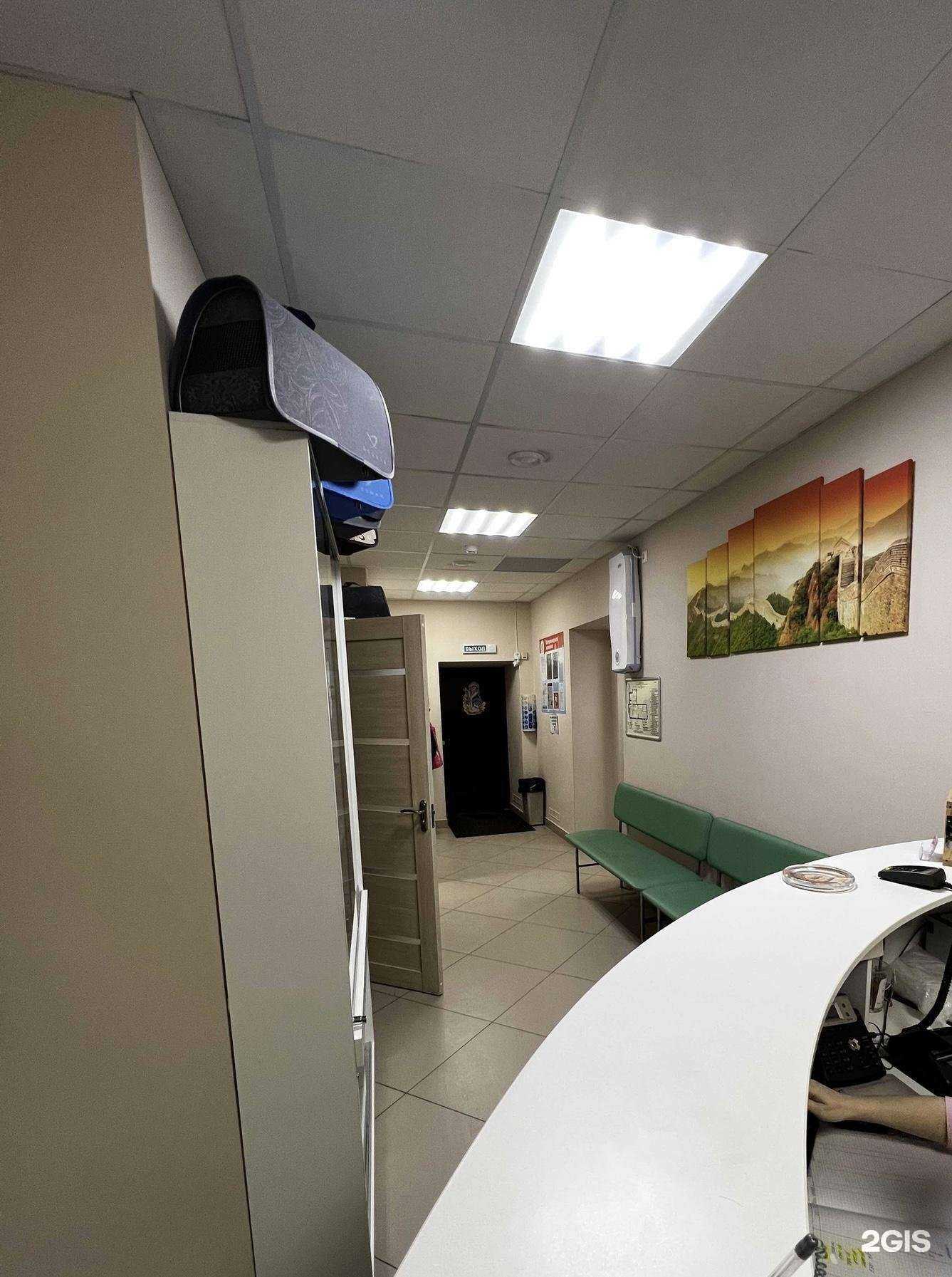 Отзывы на компанию Твой ветдоктор в Вологде c фото