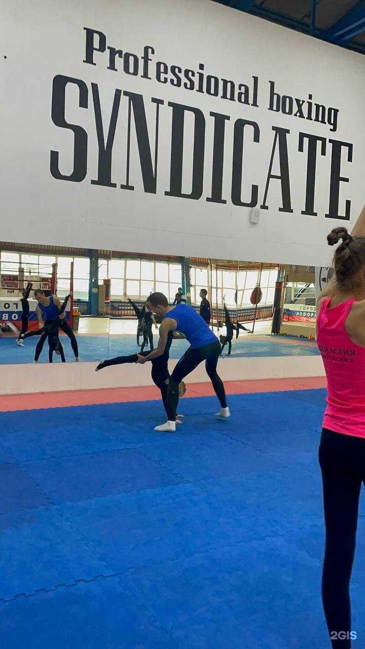 Отзывы на компанию Вверх в Новороссийске c фото