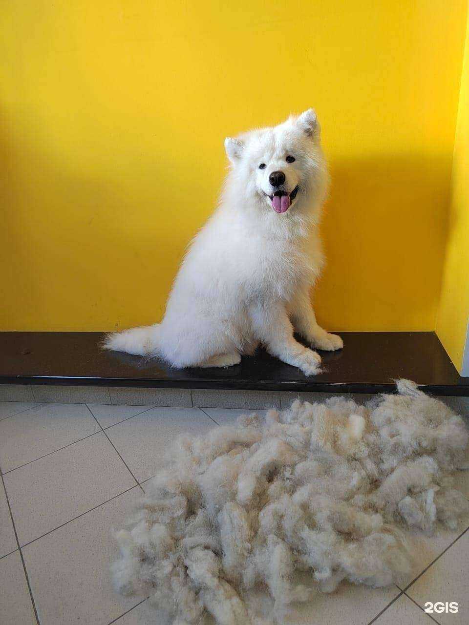 Отзывы на компанию На Набережной в г. Первоуральск c фото