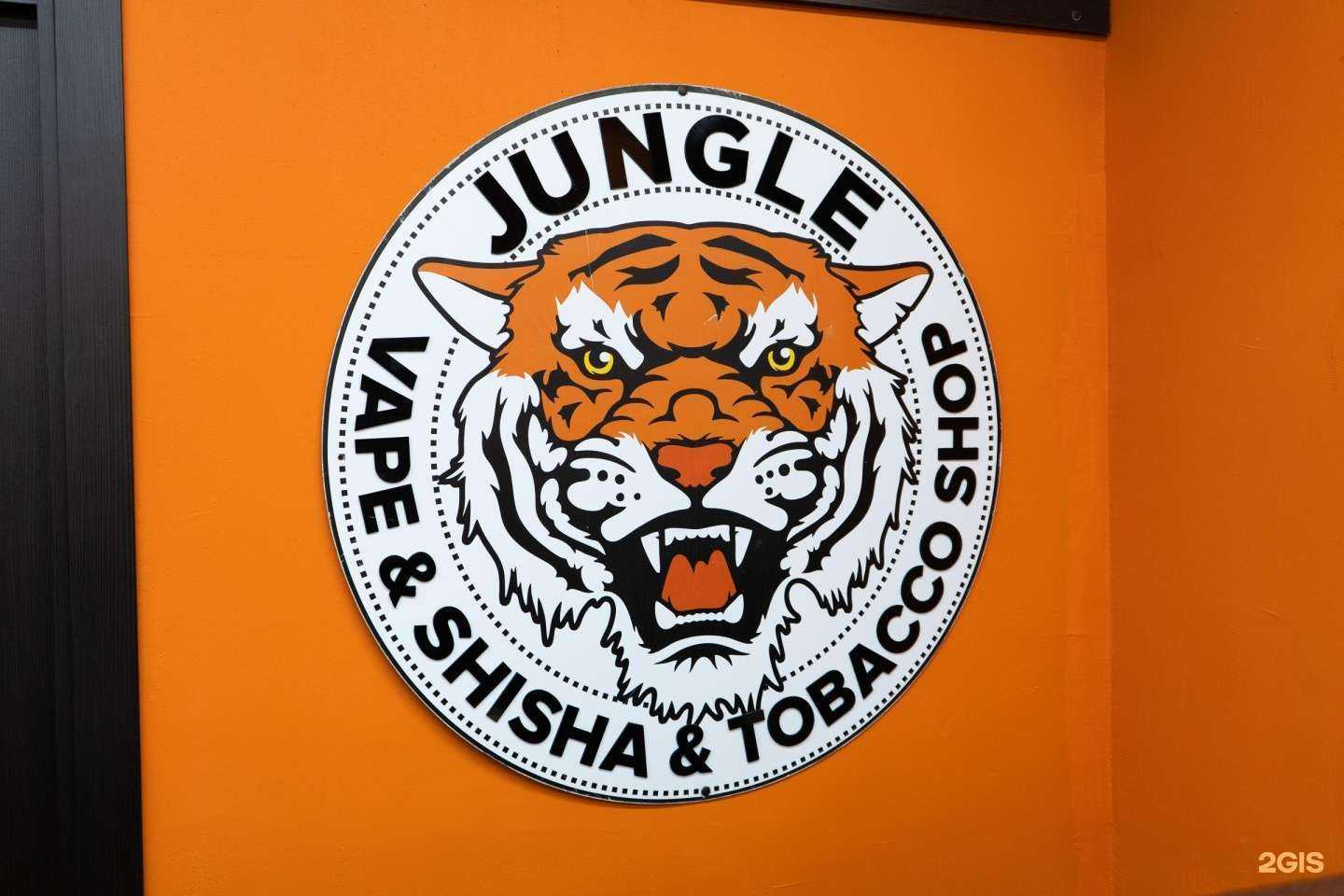 Отзывы на компанию Jungle в г. Анапа c фото