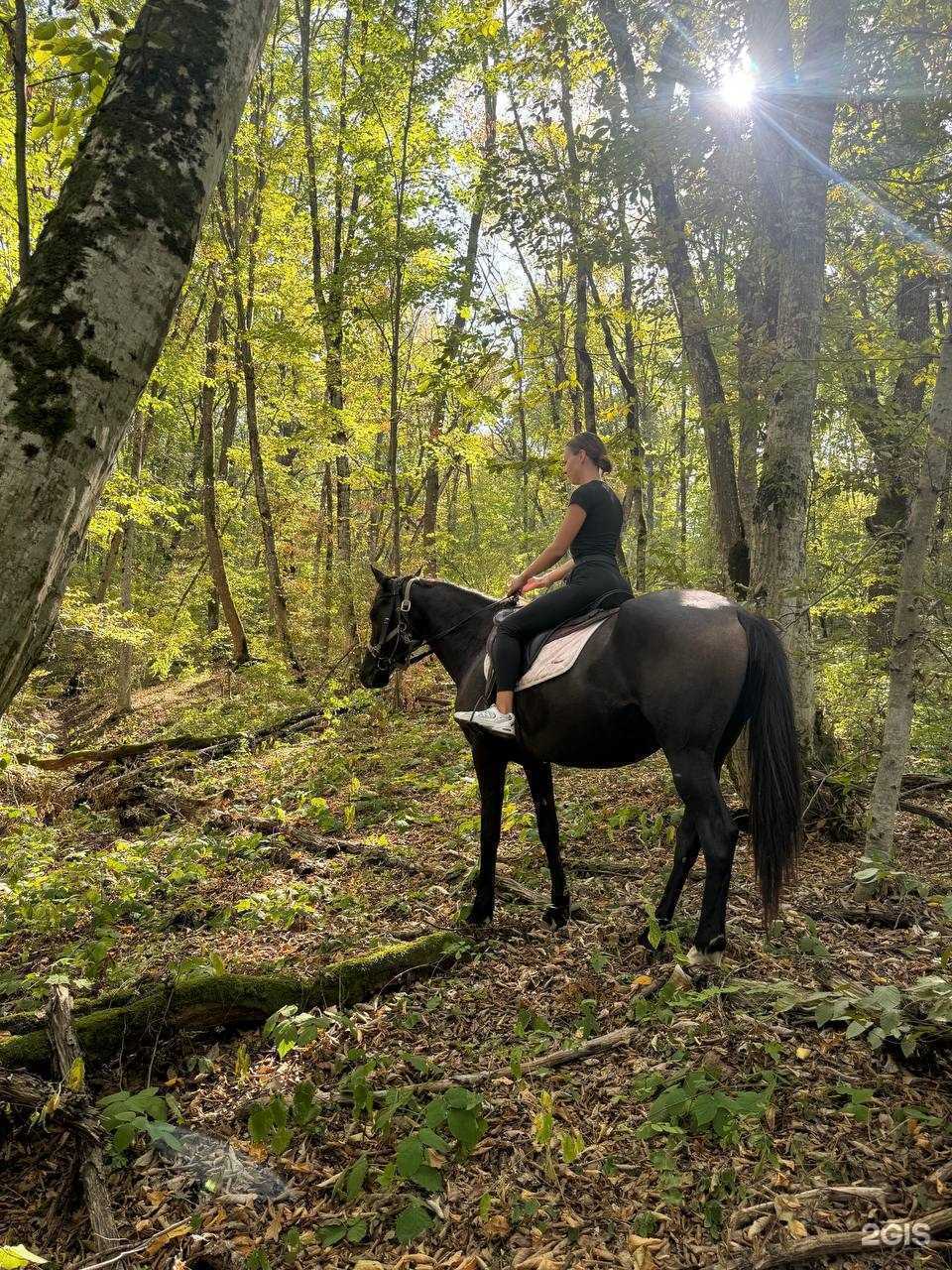 Отзывы на компанию Бонпари в г. Абинск c фото