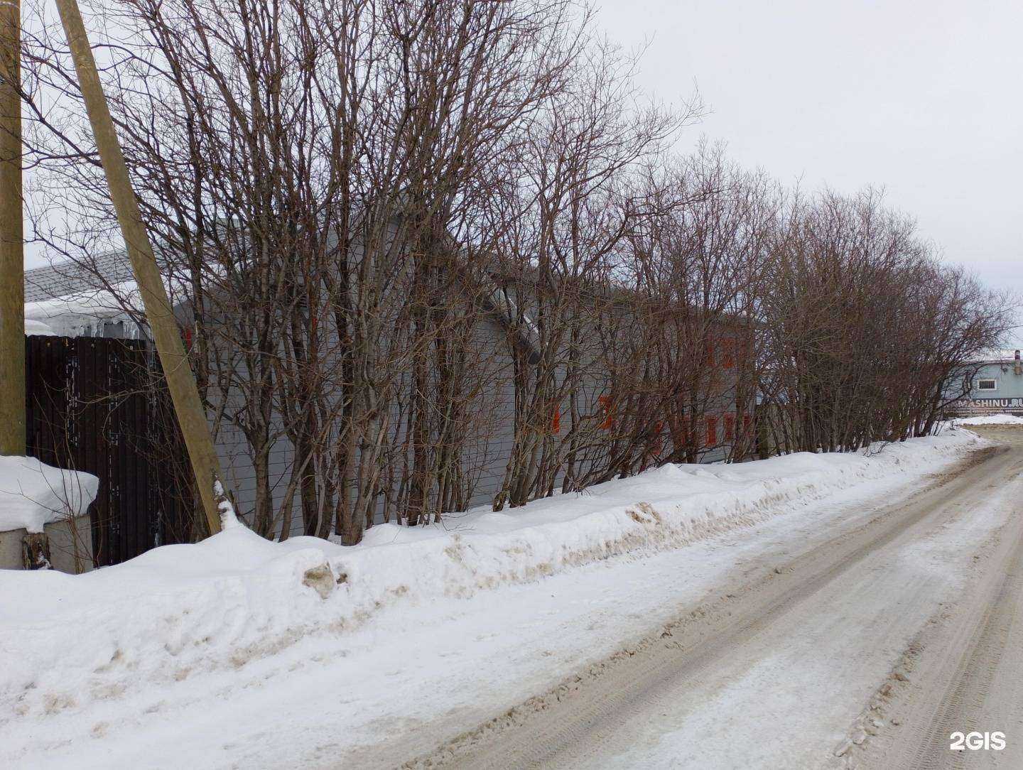 Отзывы на компанию Тёплые лапки в Мурманске c фото - фотография 2 из 2