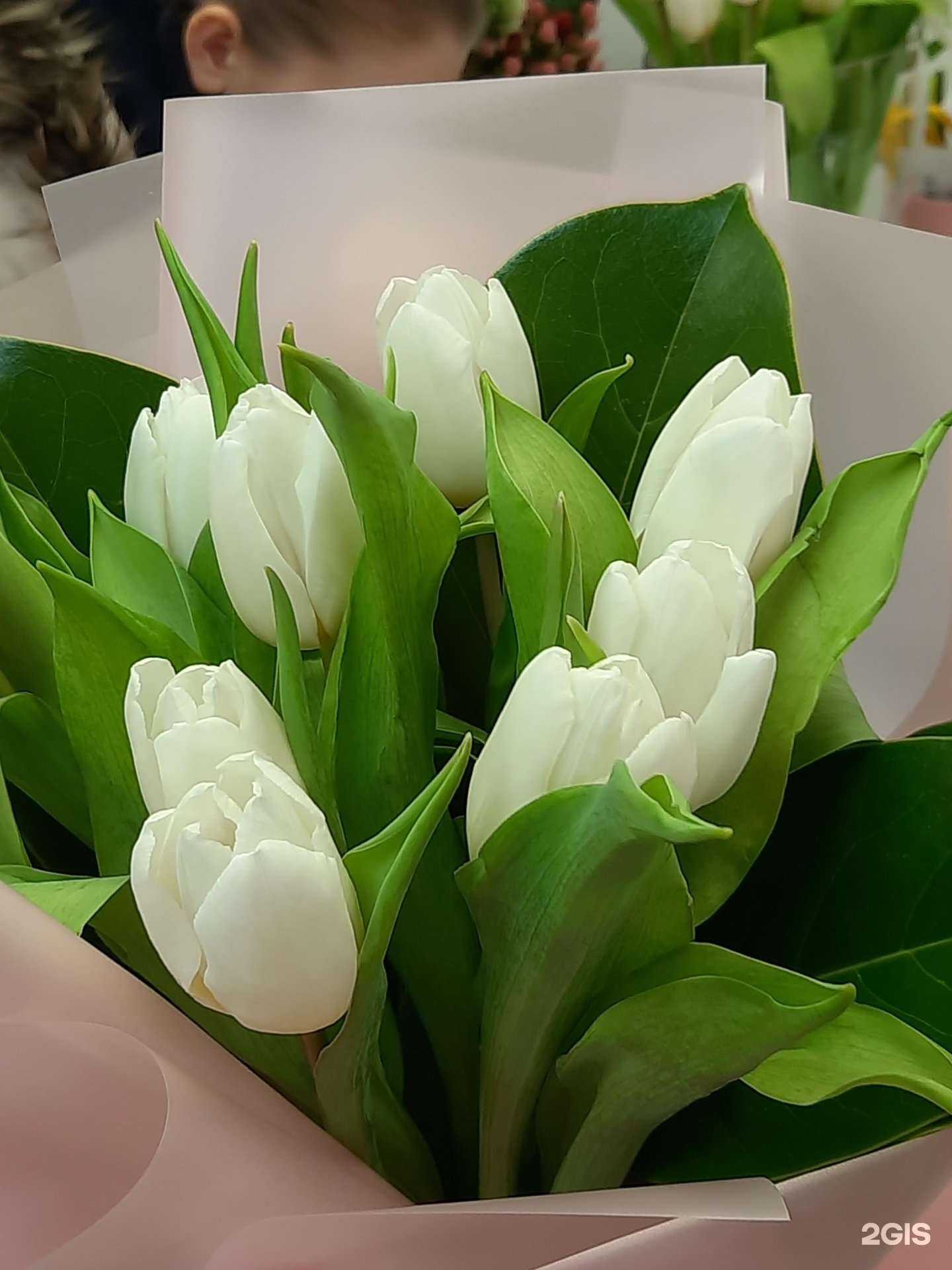 Отзывы на компанию Жарден в Екатеринбурге c фото