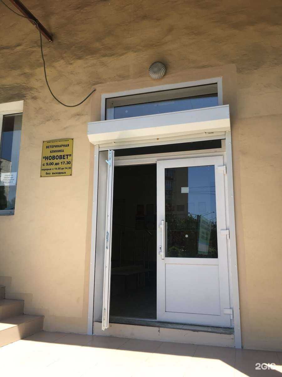 Отзывы на компанию Нововет в Новороссийске c фото