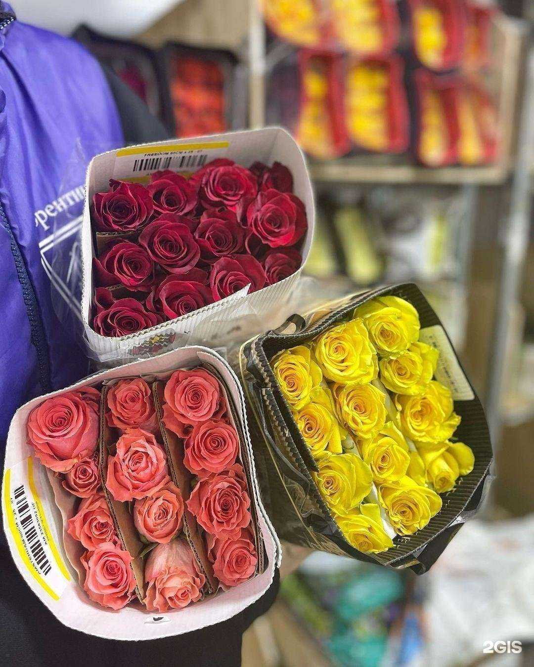 Отзывы на компанию Флорентина в г. Нижнекамск c фото