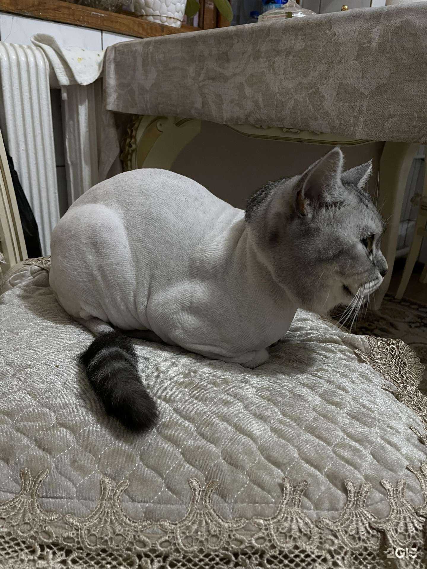 Отзывы на компанию Мвет в г. Каспийск c фото