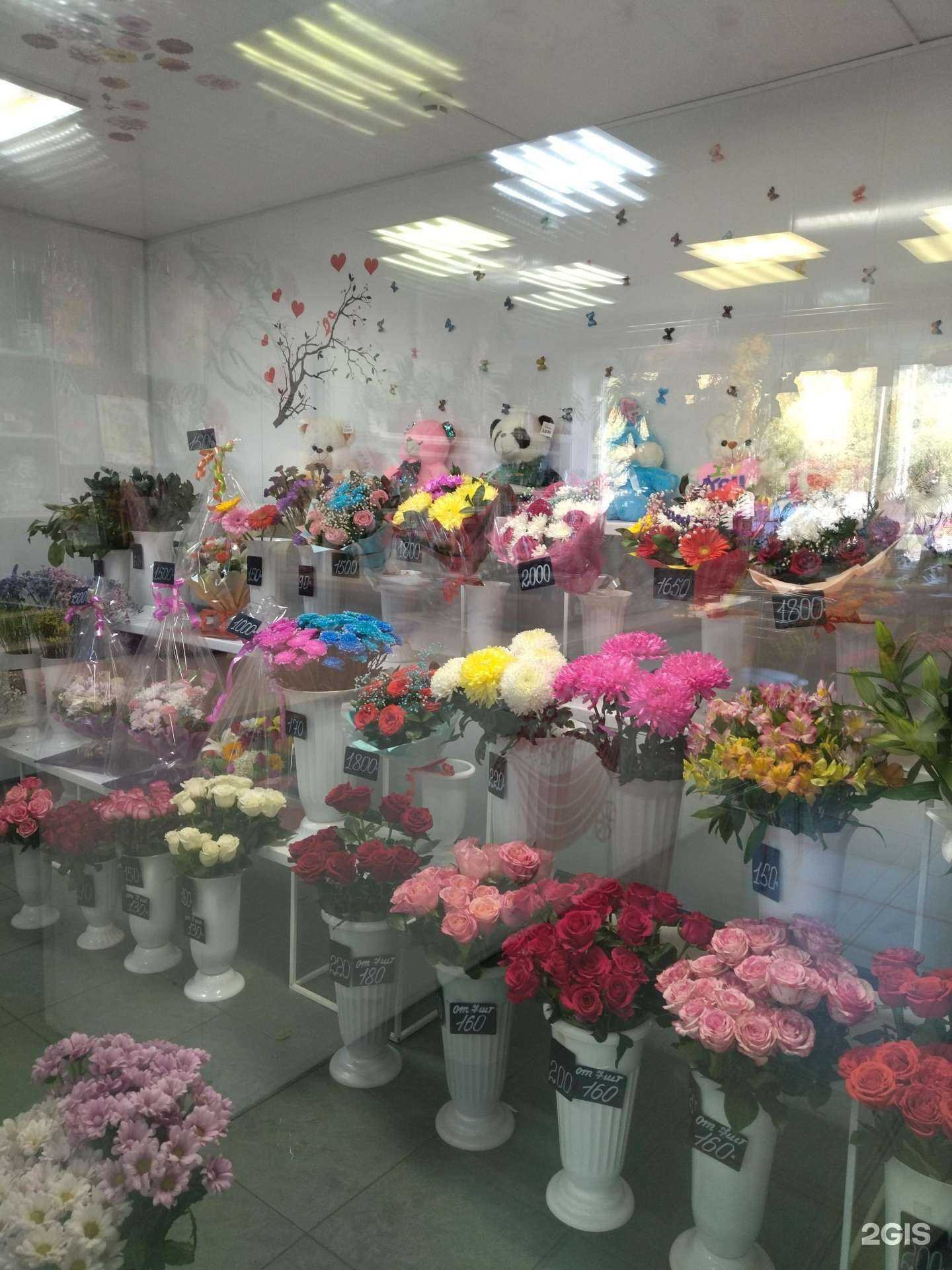 Отзывы на компанию Мир цветов в Междуреченске c фото