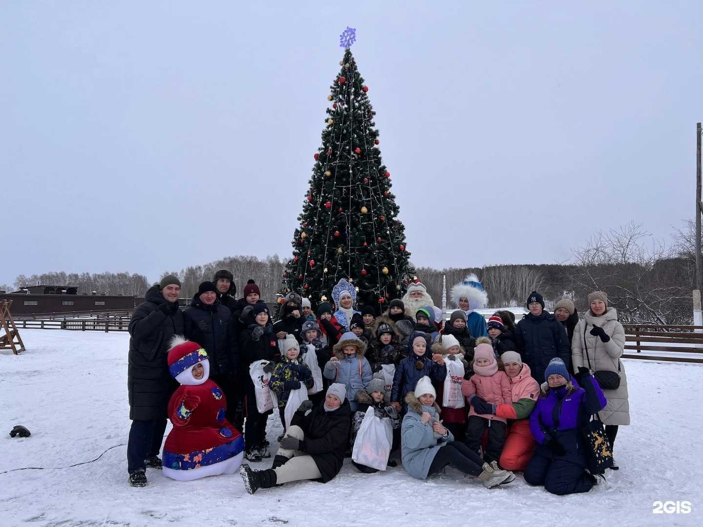 Отзывы на компанию Ippon в Красноярске c фото