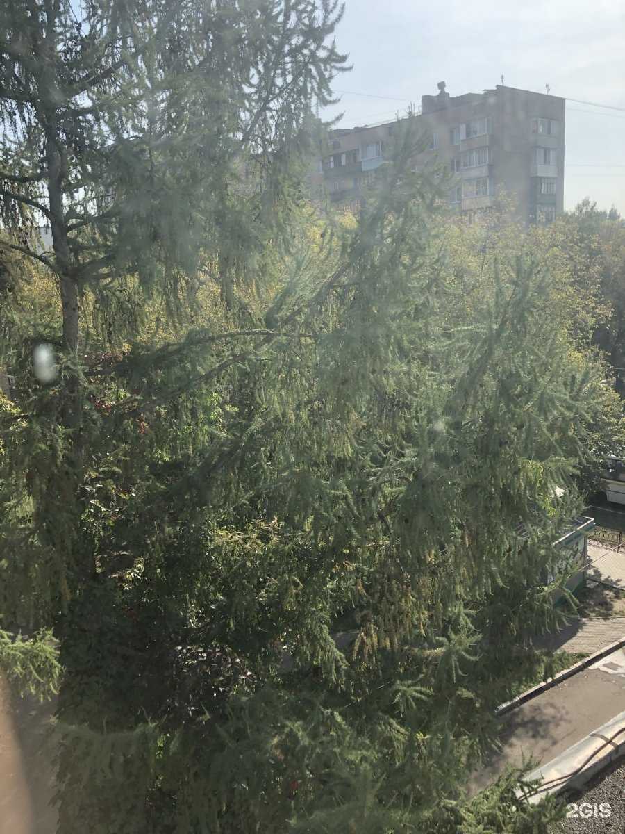 Отзывы на компанию Любимчик в Балашихе c фото - фотография 2 из 2