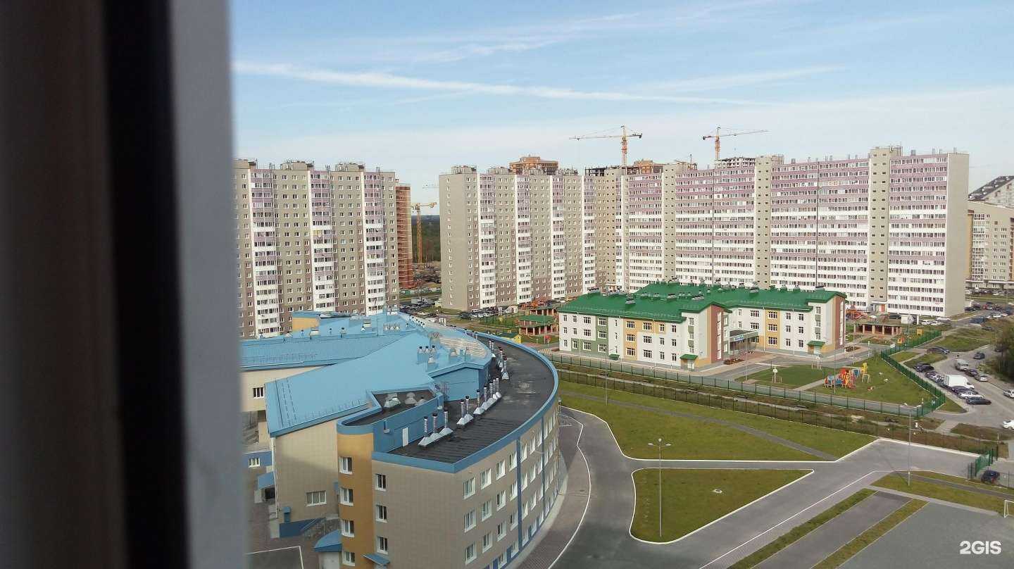 Отзывы на компанию Gaidarov shop в Сургуте c фото