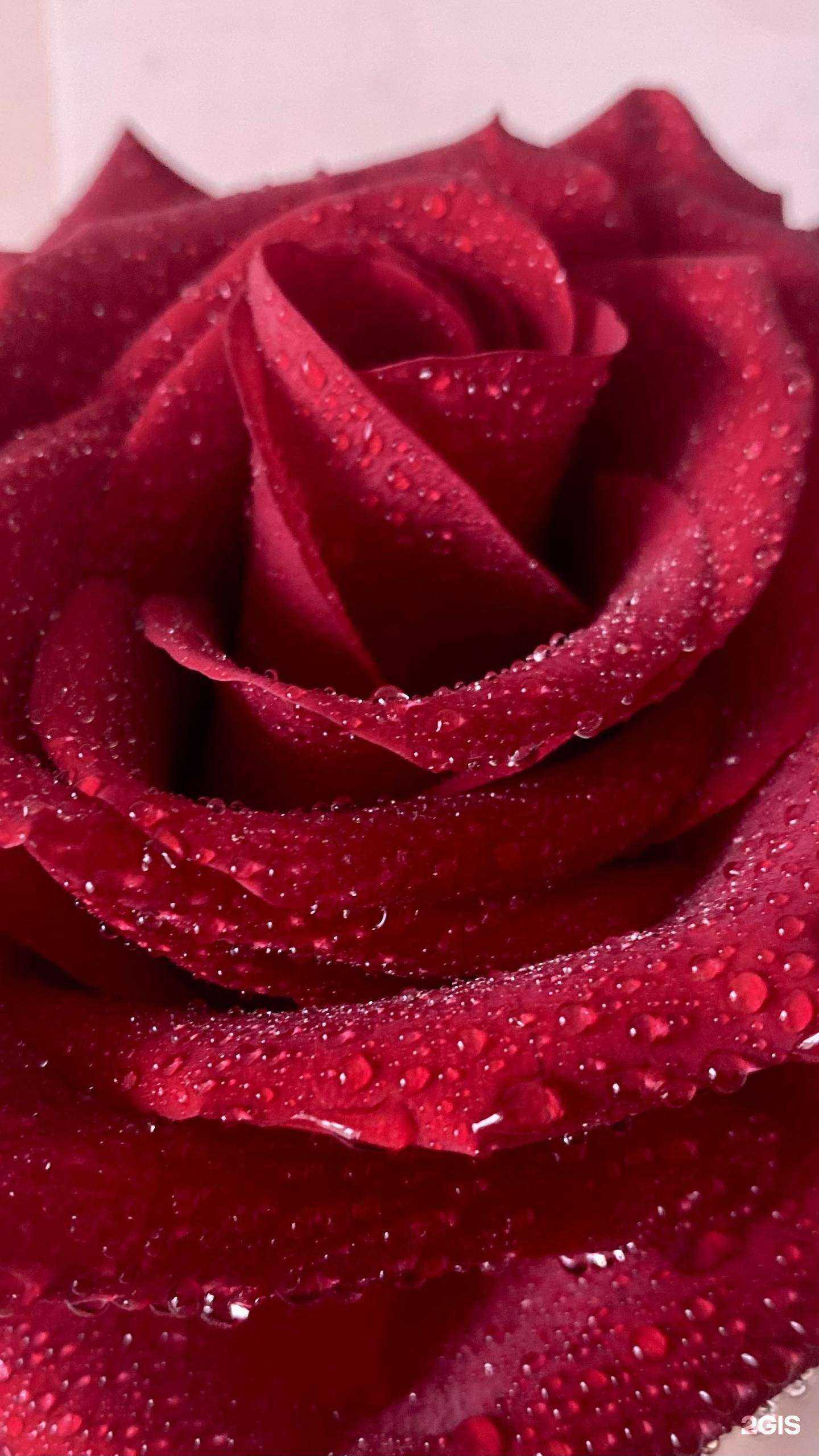 Отзывы на компанию Дом финансов в Томске c фото