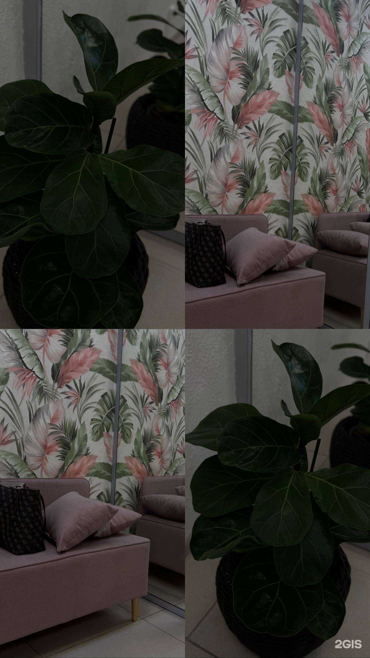 Отзывы на компанию Студия косметологии и лазерной эпиляции в Набережных Челнах c фото