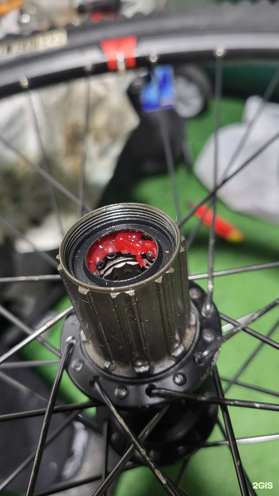 Отзывы на компанию ЭлитВело в г. Верхняя Пышма c фото