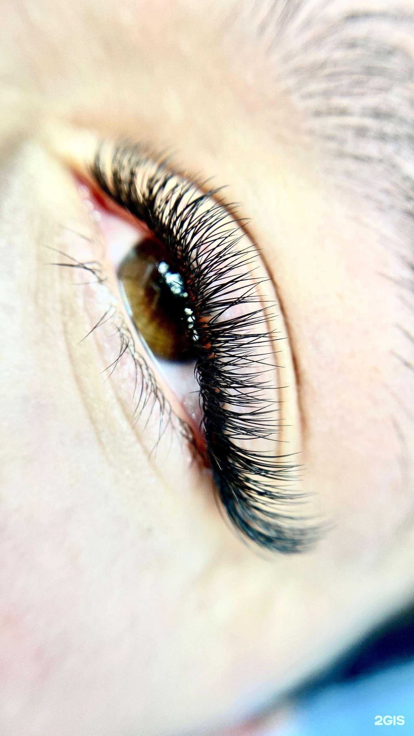 Отзывы на компанию Lash_to_Lash в Тюмени c фото