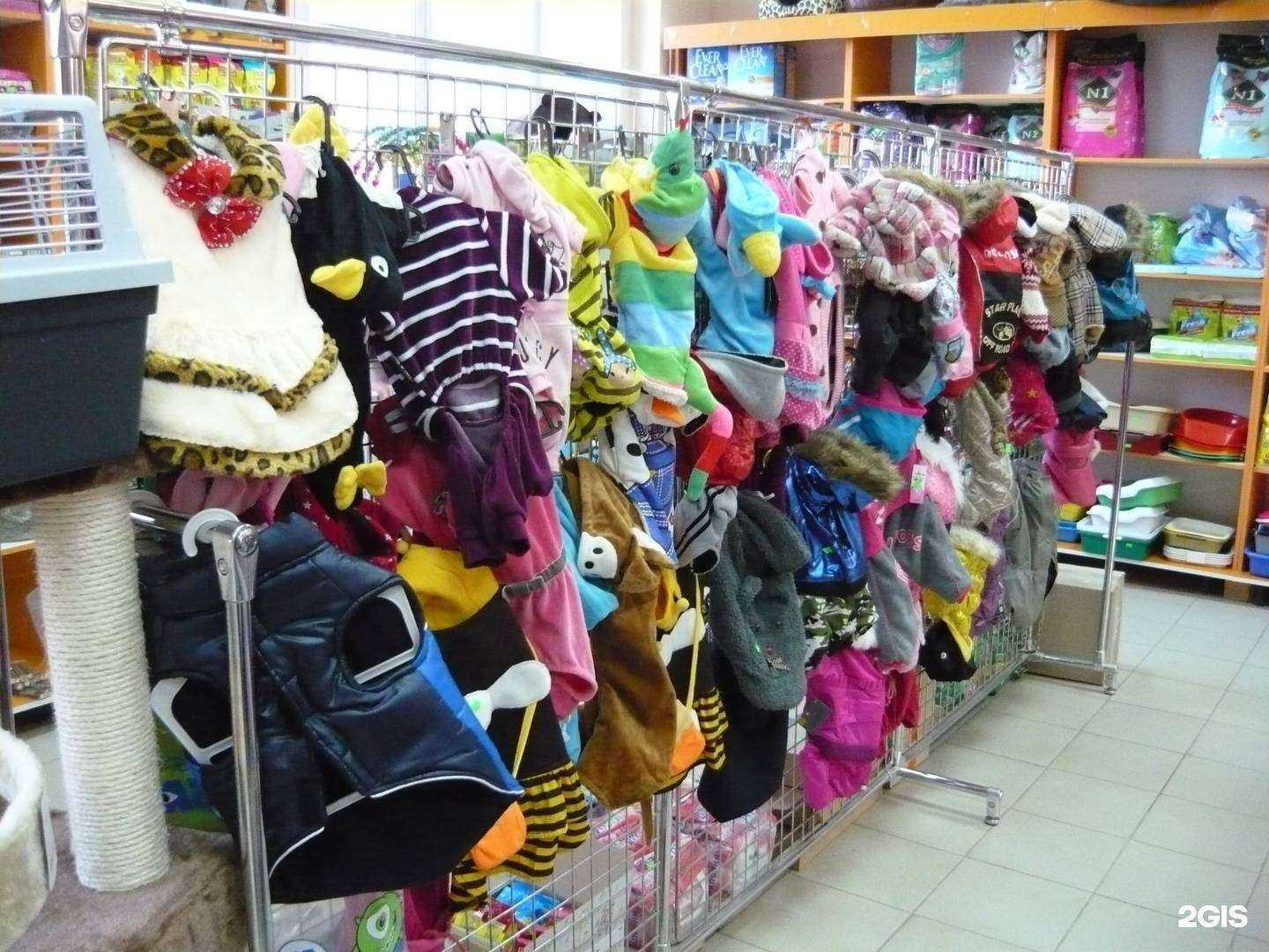 Отзывы на компанию ZooСити в г. Калуга c фото