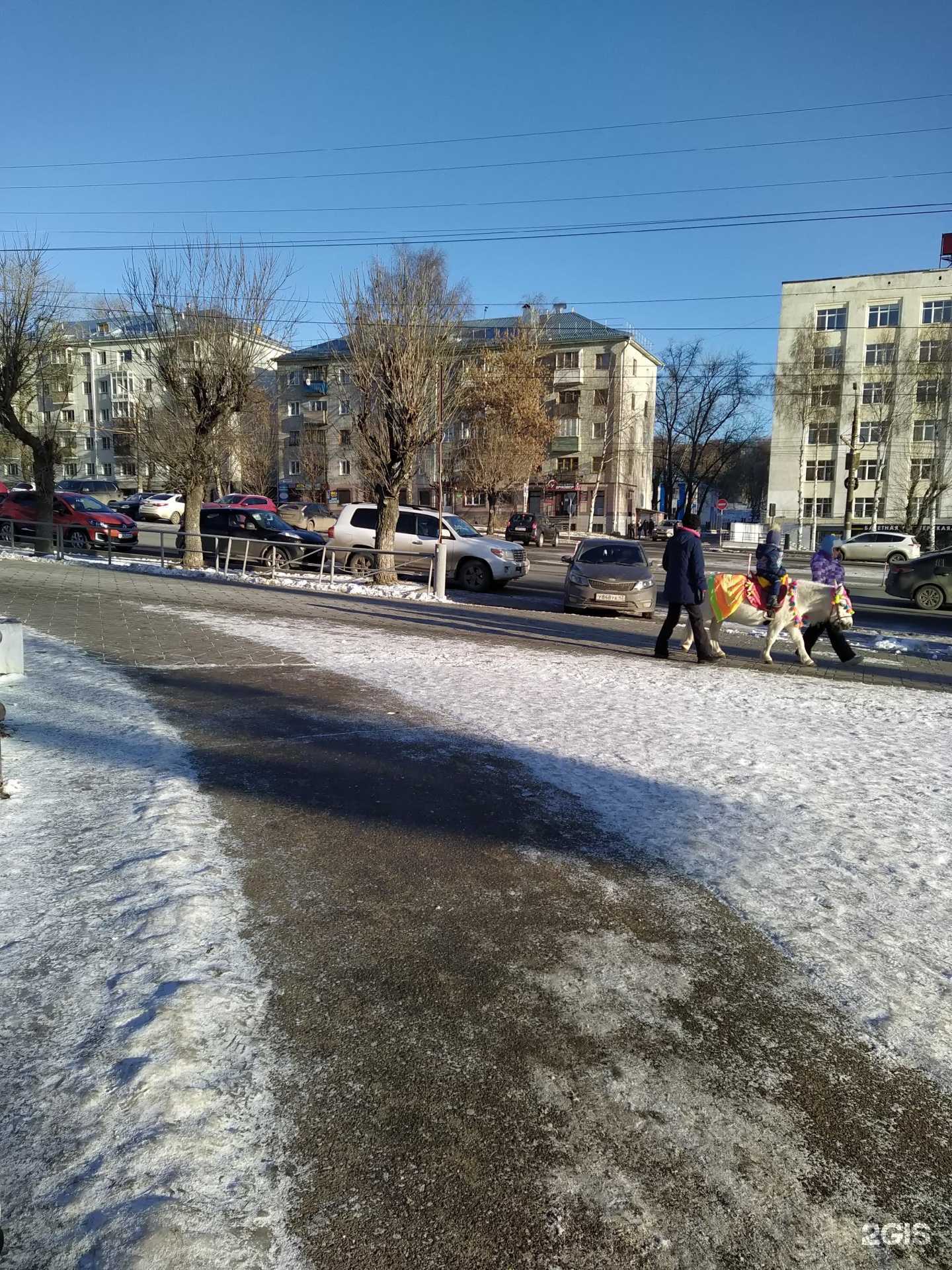 Отзывы на компанию Black Dog в Кирове c фото