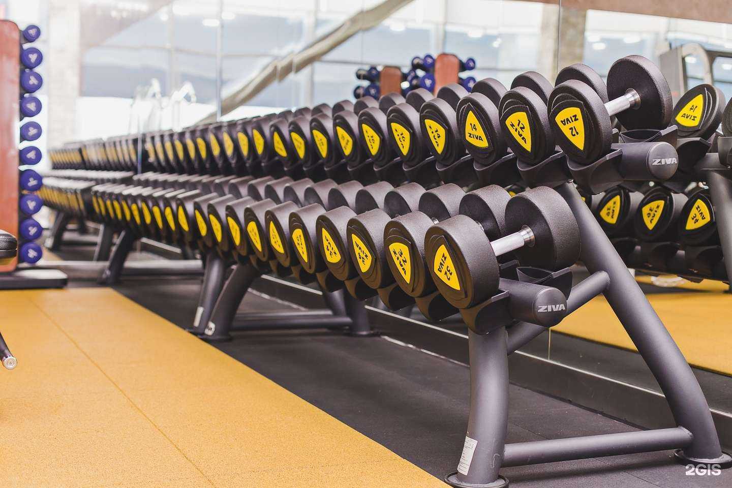 Отзывы на компанию Gold Start в Барнауле c фото