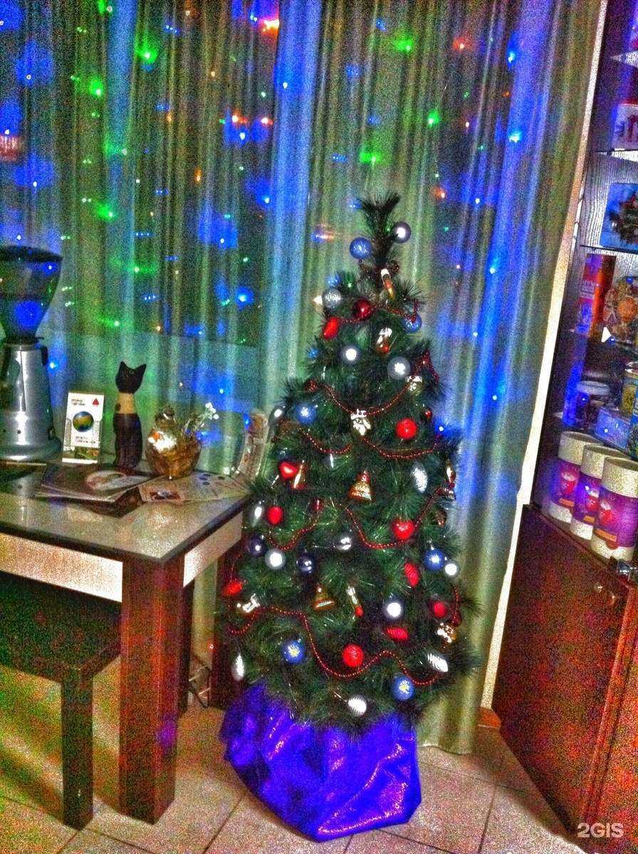 Отзывы на компанию Необычайный в г. Бийск c фото