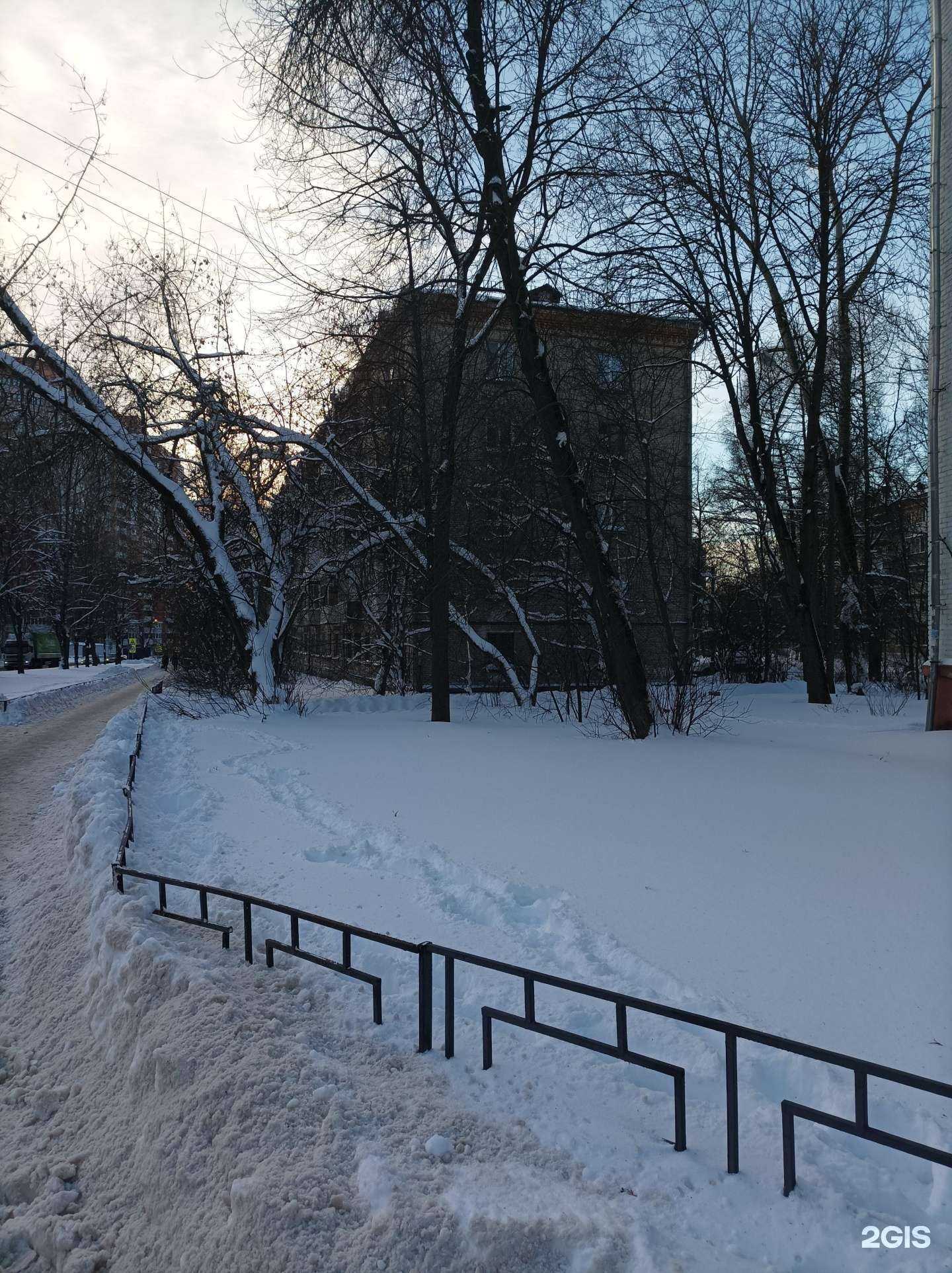 Отзывы на компанию Doctor-forest в Лыткарине c фото - фотография 2 из 2