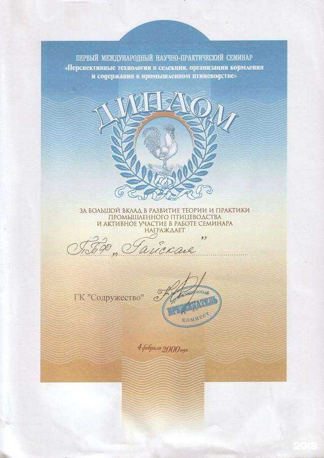 Отзывы на компанию Гайфа в г. Орск c фото