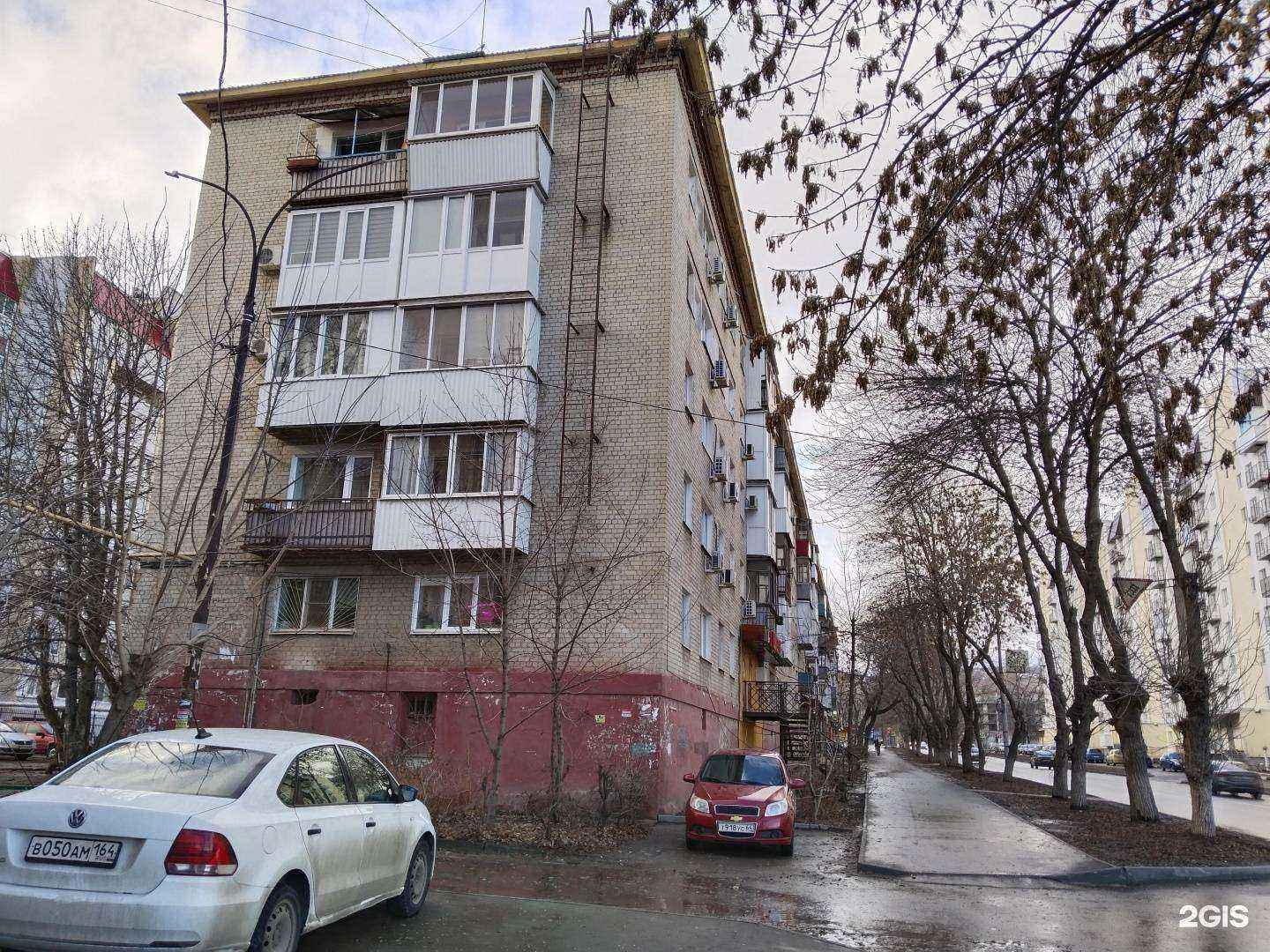 Отзывы на компанию Ваш питомец в Саратове c фото - фотография 2 из 2