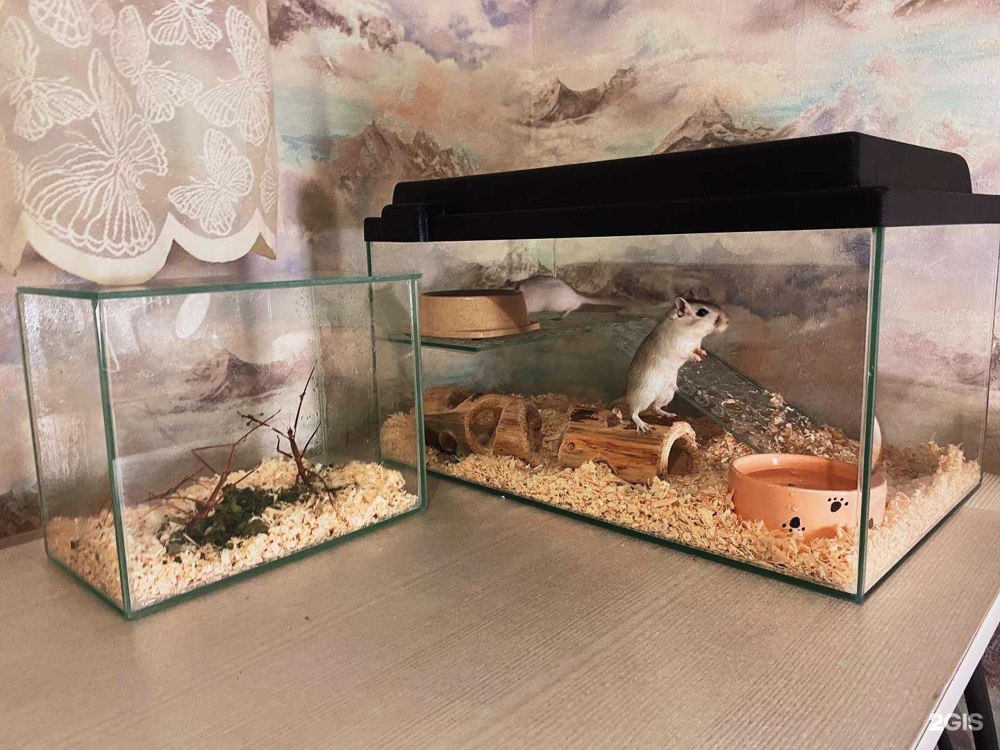 Отзывы на компанию Аквасалон в Казани c фото