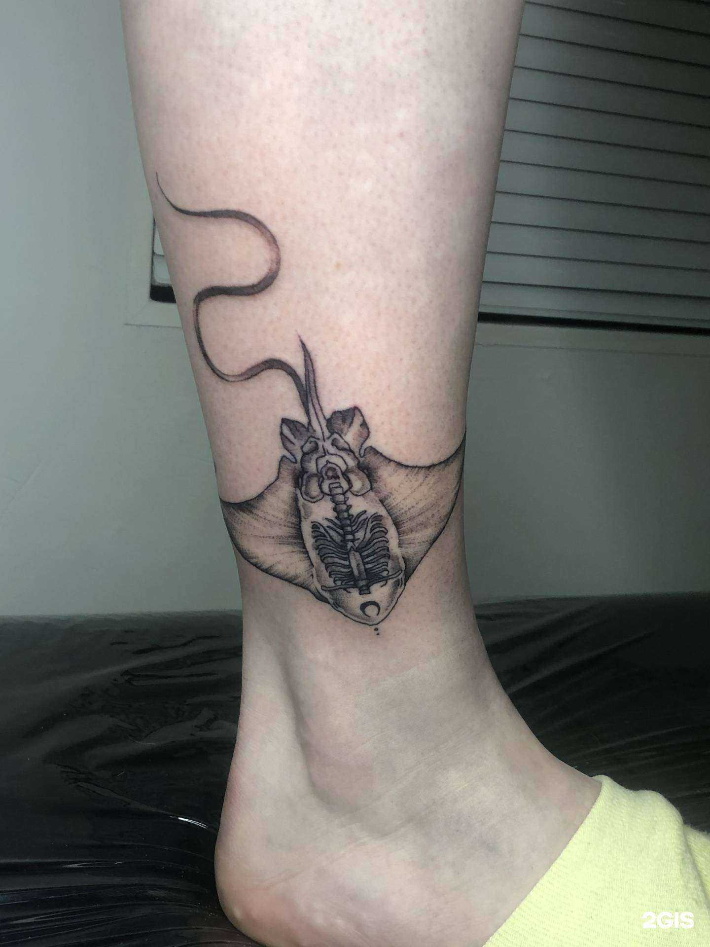 Отзывы на компанию Apollo в Тамбове c фото