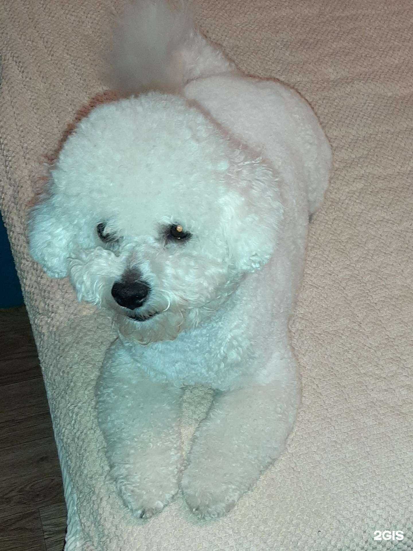 Отзывы на компанию БарБосс в г. Иркутск c фото