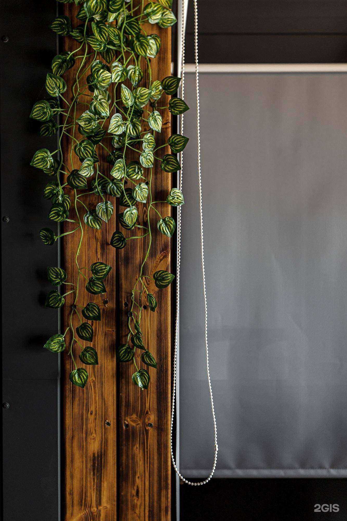 Отзывы на компанию Prvz в Светлогорске c фото