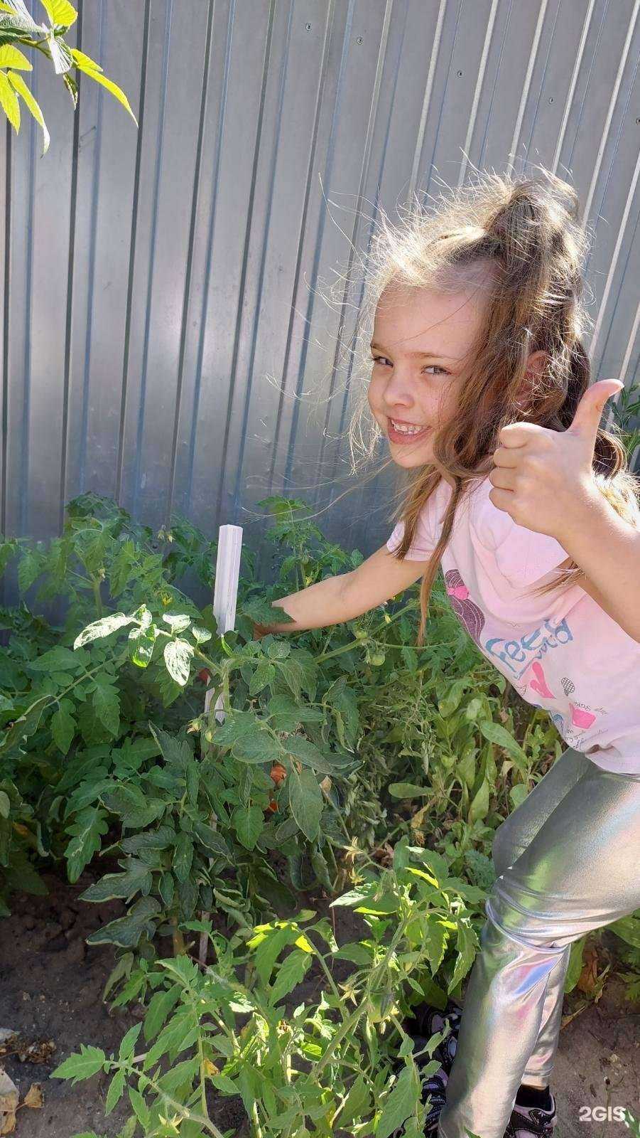 Отзывы на компанию Росинка в г. Ульяновск c фото