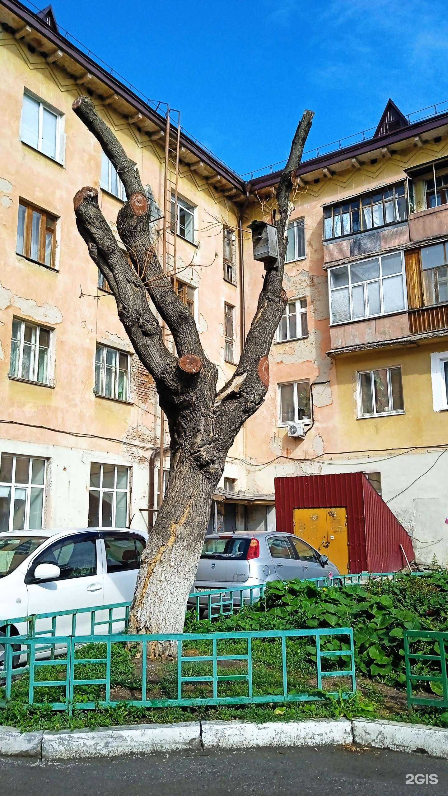 Отзывы на компанию Создатели в Тюмени c фото - фотография 2 из 2