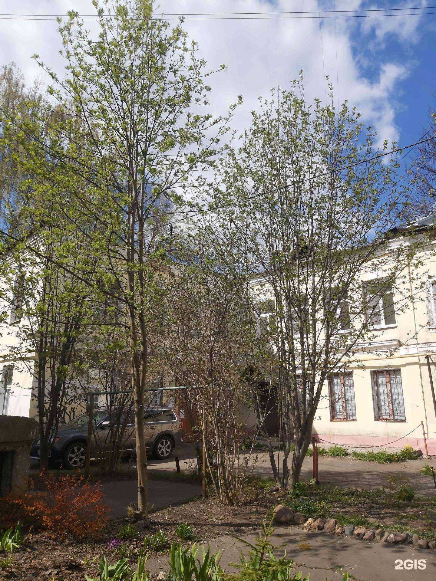 Отзывы на компанию Взлет-Ярославль в Ярославле c фото - фотография 2 из 2