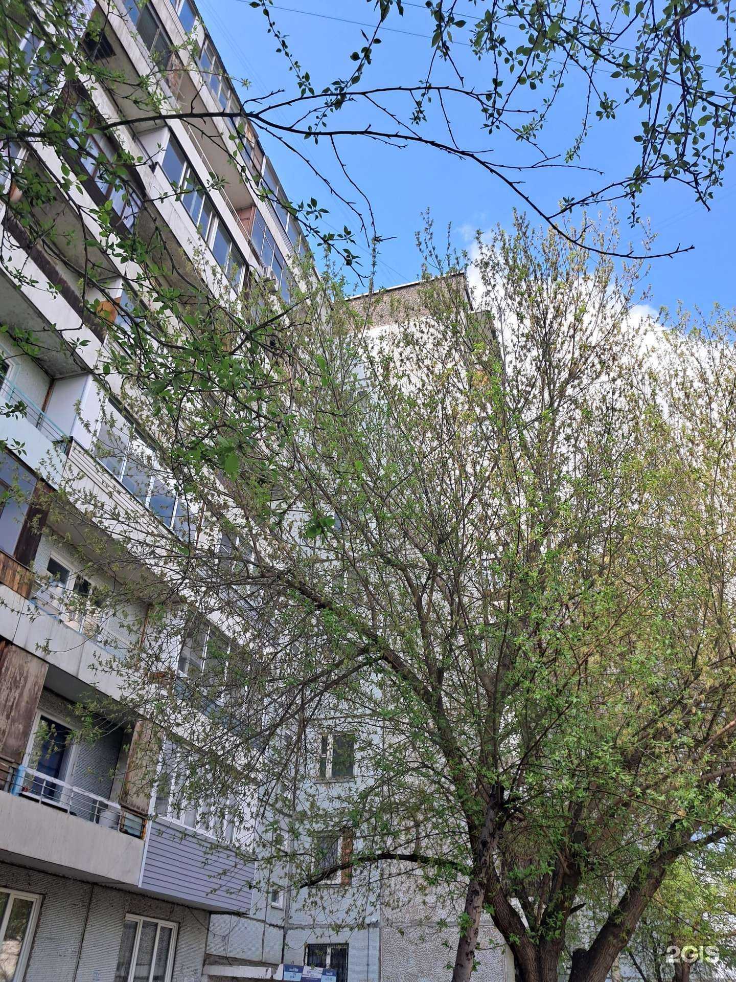 Отзывы на компанию Автоэвакуатор в Красноярске c фото