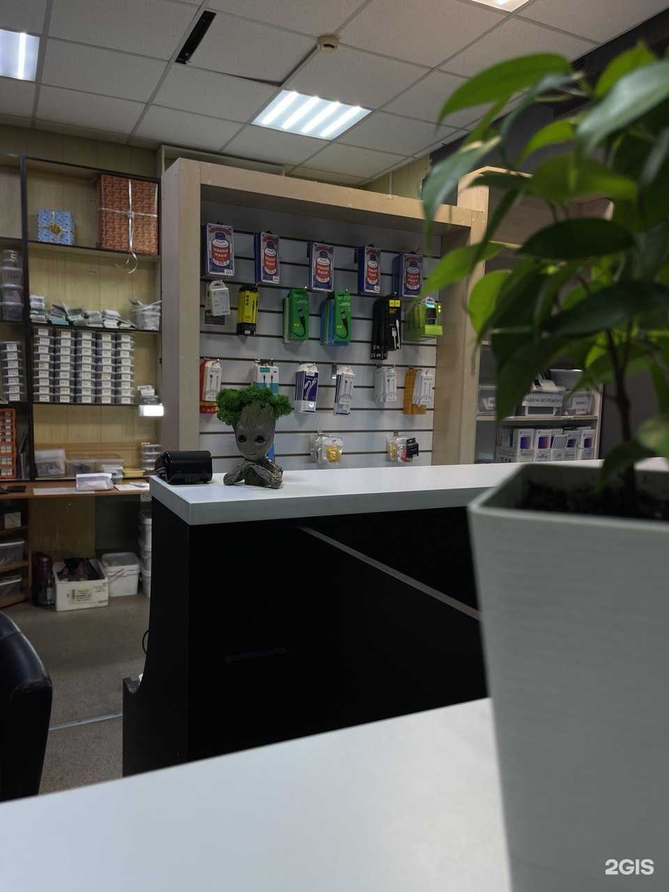 Отзывы на компанию Кролик в Петропавловске-Камчатском c фото